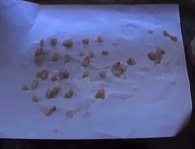 2450715F00000578-0-image-a-43_1419853209313