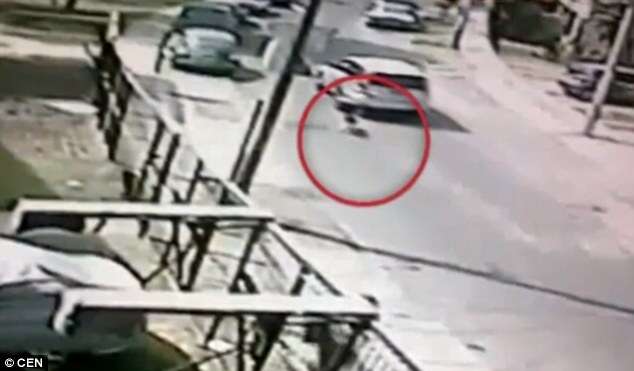 Homem arrasta cão em carro para puní-lo
