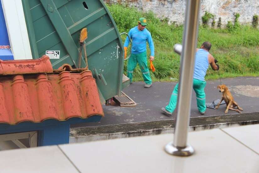 Motorista joga co em triturador de caminho de lixo