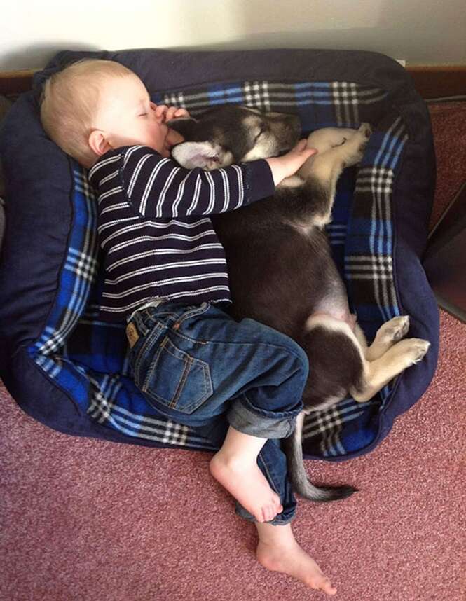 Amizade entre bebês e cães