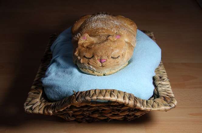 Padeiro faz sucesso criando pães em formato de gatos