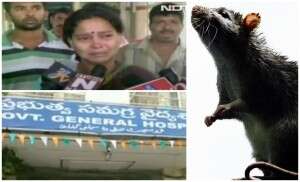 Bebê de dez dias morre após ter olhos, rosto, peito e mãos roídos por rato em incubadora de hospital