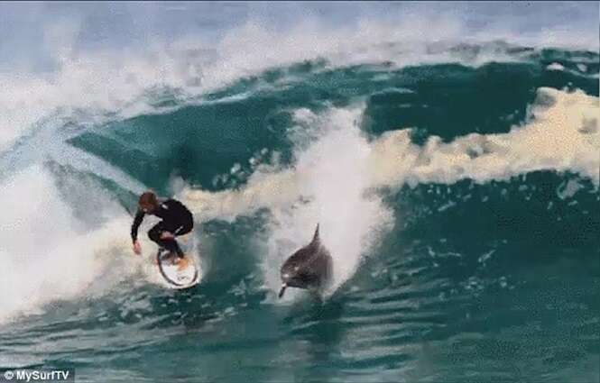 Featured image of post Fotos De Surfistas Pegando Onda - Mujer tomando fotos de acción de surfistas experimentados montando una ola azul.