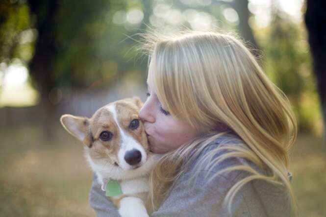 Estudo conclui que cães odeiam receber abraços