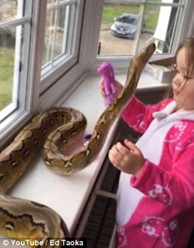 Vídeo chocante mostra menina de três anos brincando e abraçando cobra mortal