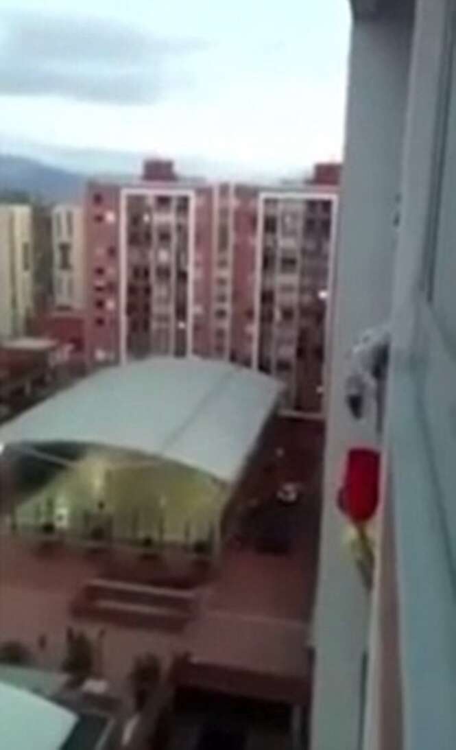 Homem arrisca a vida escalando prédio para salvar cão