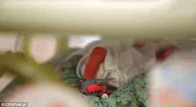 Bebê nasce dois meses depois de sua mãe falecer