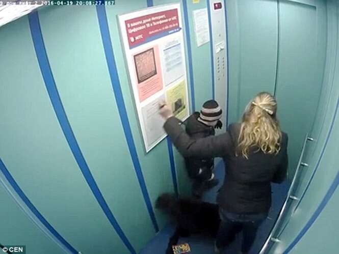 Cão quase é enforcado após coleira ficar presa na porta do elevador