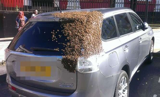 Carro é coberto por abelhas após rainha ficar presa no porta-malas