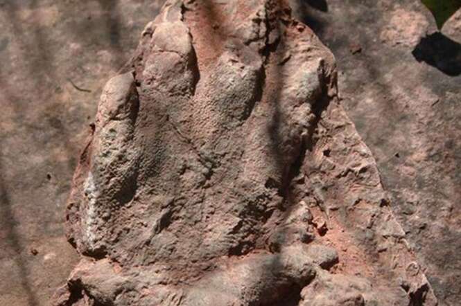 Homem encontra uma das mais bem preservadas pegadas de dinossauro