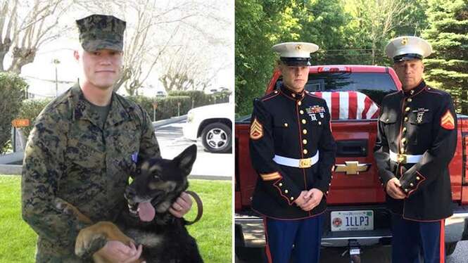 Família faz despedida honrosa para cão militar antes de sacrificá-lo