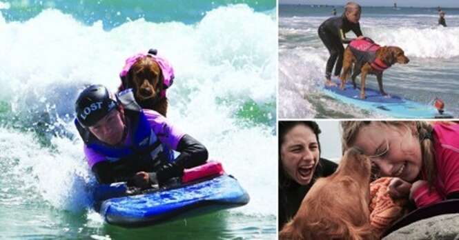 Esse cão adorável surfa com pessoas deficientes