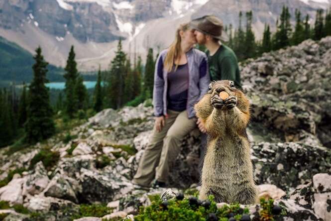 Esquilo “atrapalha” foto de casal da maneira mais adorável possível