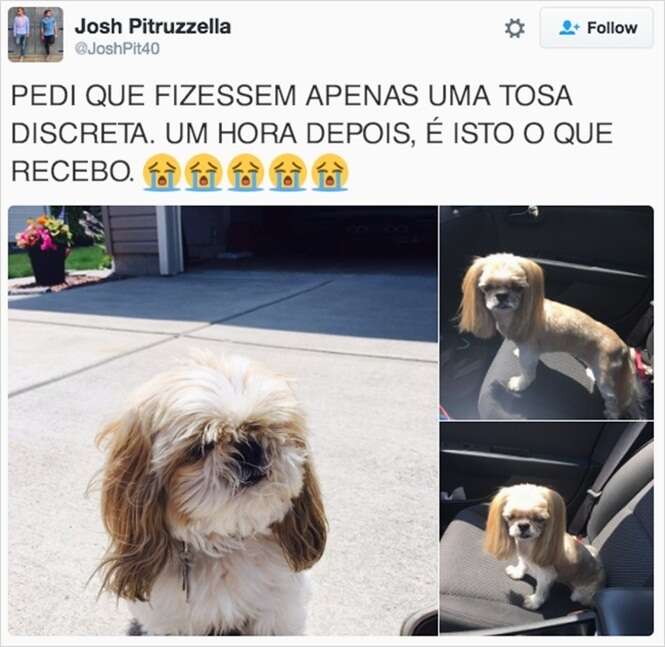 Foto: © twitter