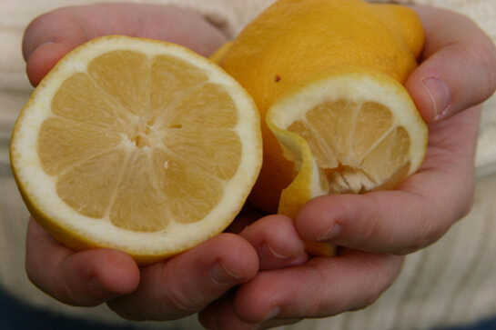 Esfregar limão no braço é um mito para curar ressaca