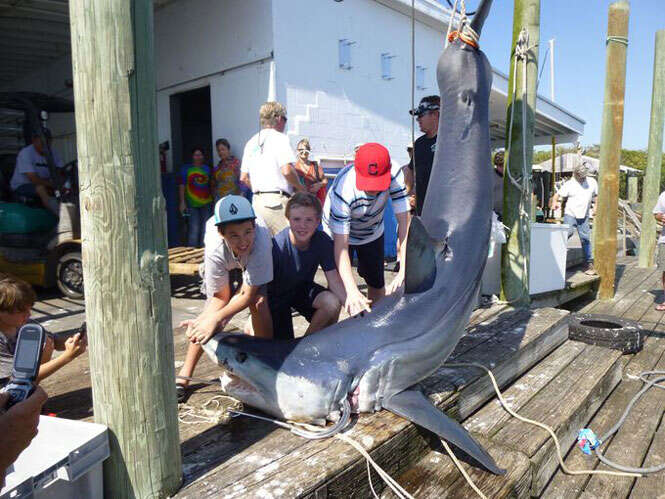 Tony Musca, Ryan Roberts e Sam Von Duhn com tubarão