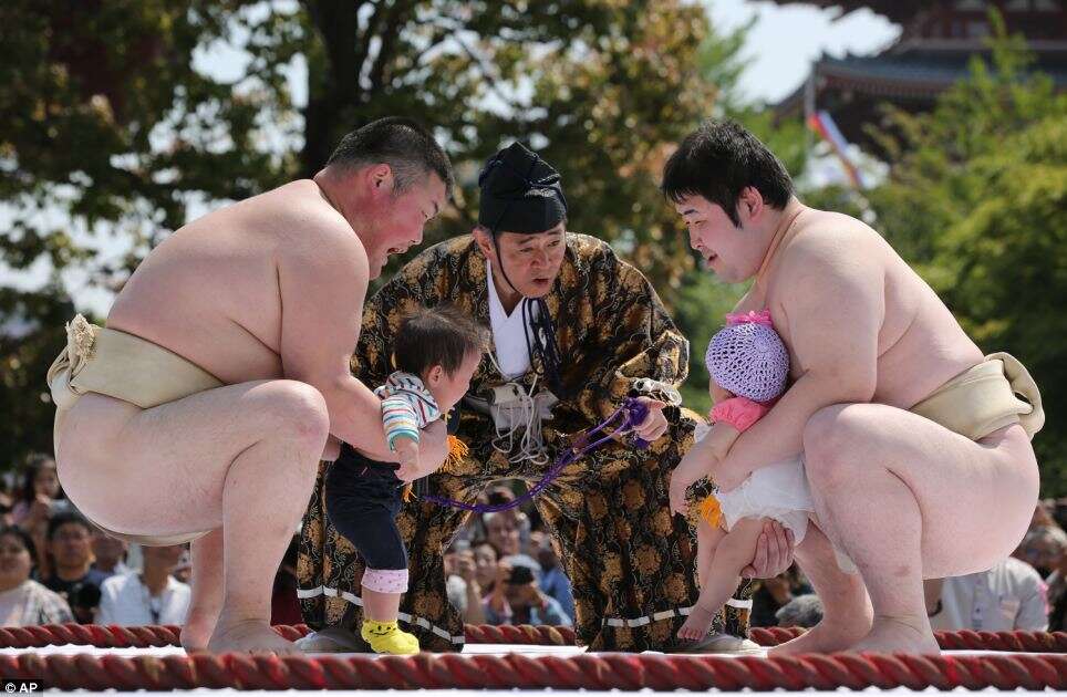 lutadores de sumô com bebês chorando