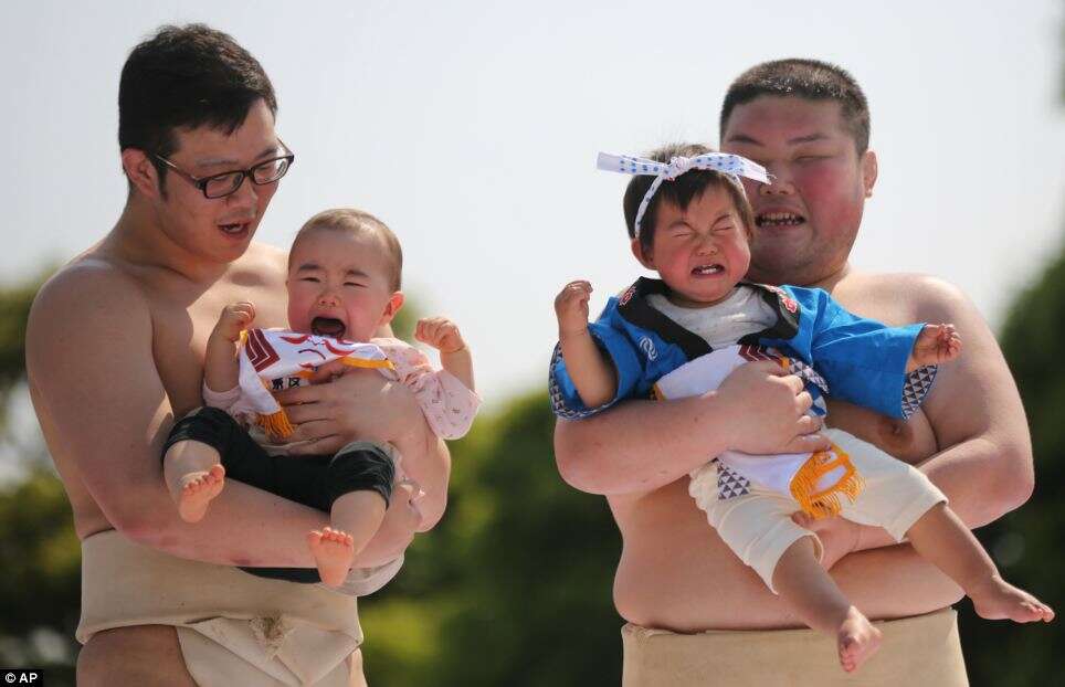 lutadores de sumô com bebês chorando