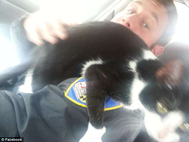 Policial faz sucesso na internet depois de salvar gato