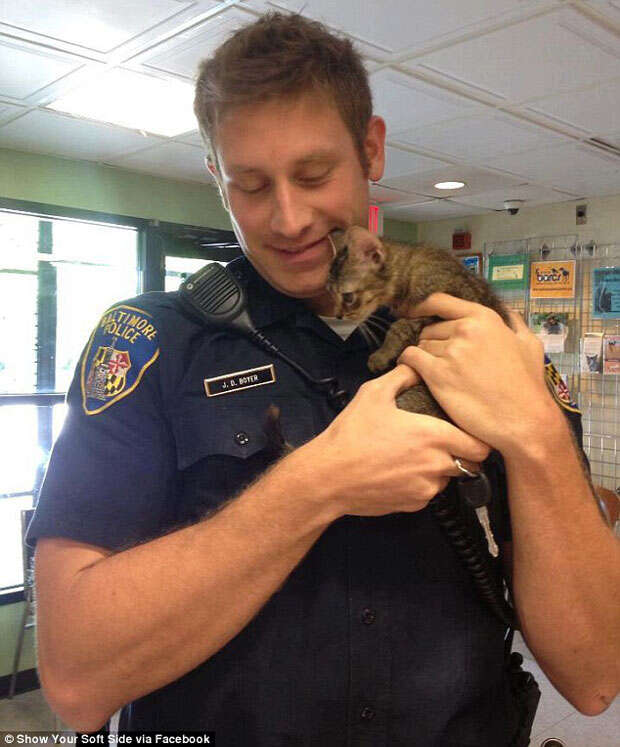 Policial faz sucesso na internet depois de salvar gato