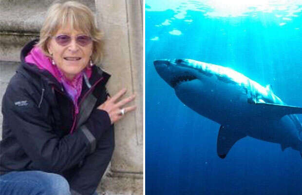 Mulher morre após ser atacada por tubarão na Austrália