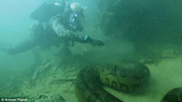 Jeremy Wade com anaconda