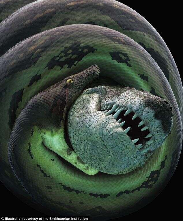 Titanoboa