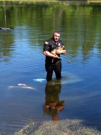 David Harriman salvou cão em rio