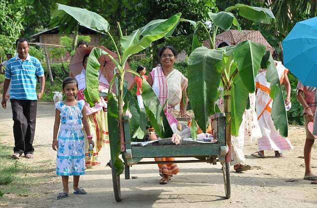 People Perform Wedding Ceremony Between Two Frogs To Invoke Rain Gods In Dibrugarh, India