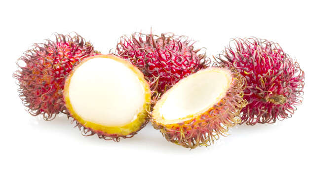 Rambutão