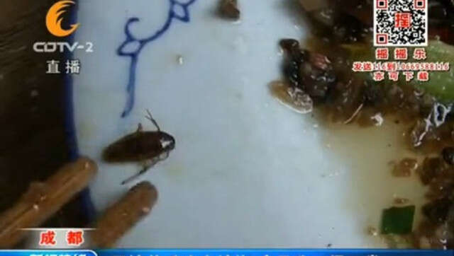 Homem reclama de barata encontrada em prato e garçonete resolver comer o inseto