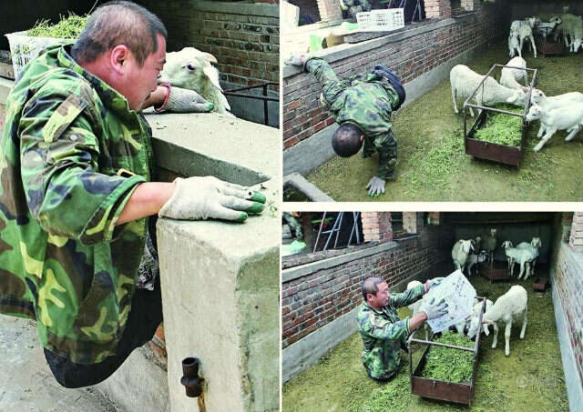 Homem sem pernas consegue fortuna trabalhando