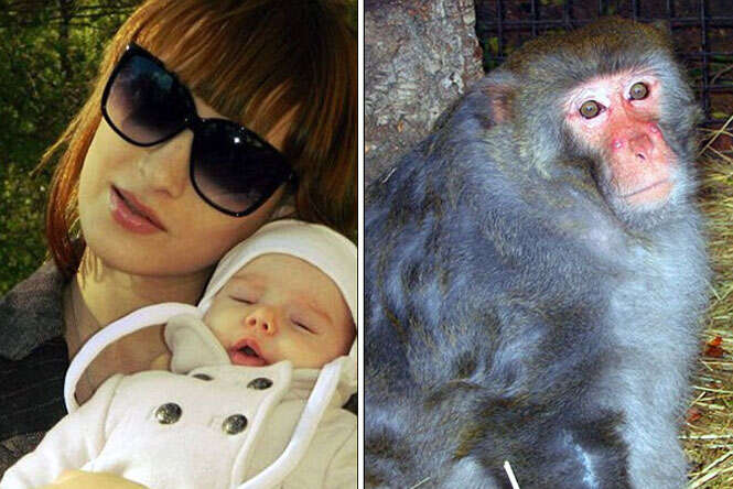 Macaco escapa de zoológico e mata bebê