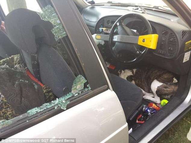 Polícia quebra vidro de carro para salvar cão preso