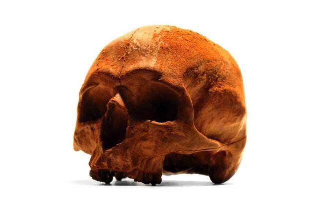 chocolate-human-skull-4.jpg