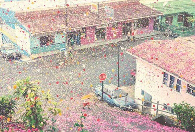 Chuva de flores