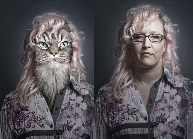 Fotógrafo transforma gatos em seus donos