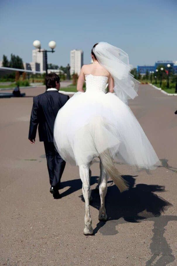 Fotos de casamento engraçadas