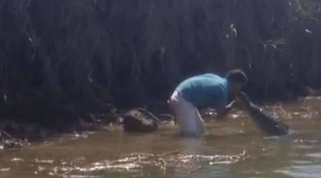 Homem é flagrado jogando água e beijando crocodilo