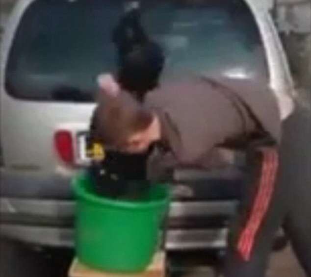 Jovem usa cão em desafio do balde de gelo