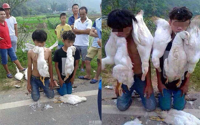Moradores punem ladrões de patos os fazendo ajoelhar e abocanhar aves