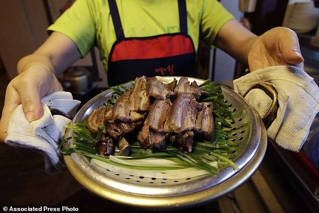 South Korea Dogs Dying Delicacy