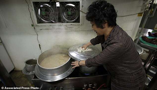 South Korea Dogs Dying Delicacy