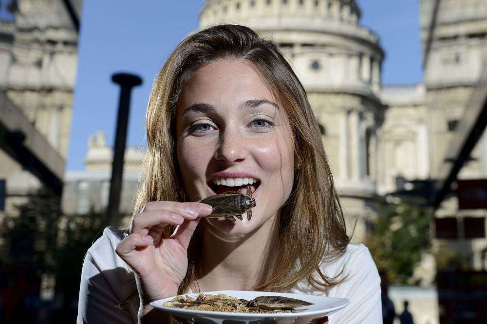 Restaurante serve iguarias exóticas de insetos