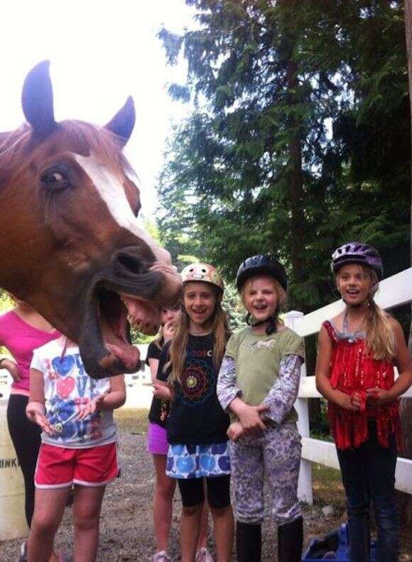 Selfie de cavalo feliz faz sucesso nas redes sociais