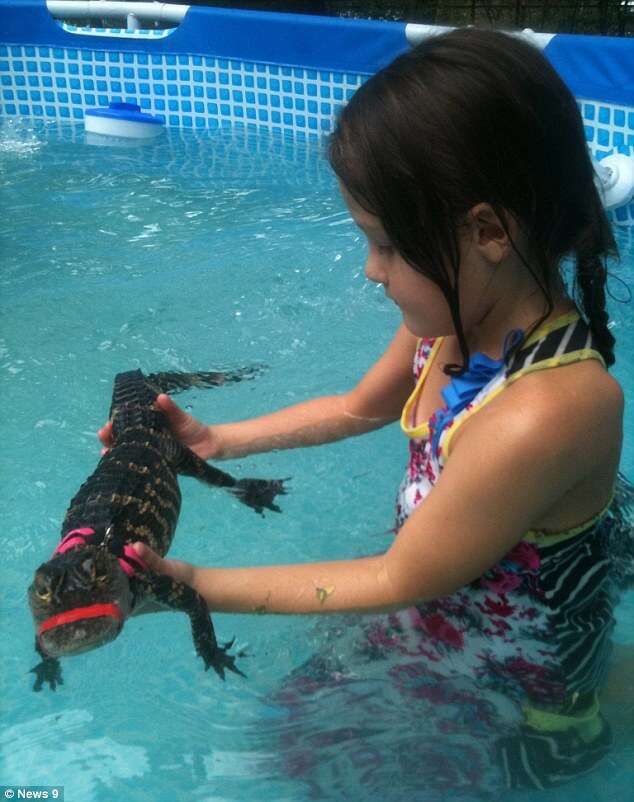 Zoológico permiti que crianças nadem com jacarés