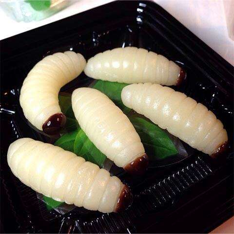 Cafeteria japonesa aposta em doces feitos com formato de insetos
