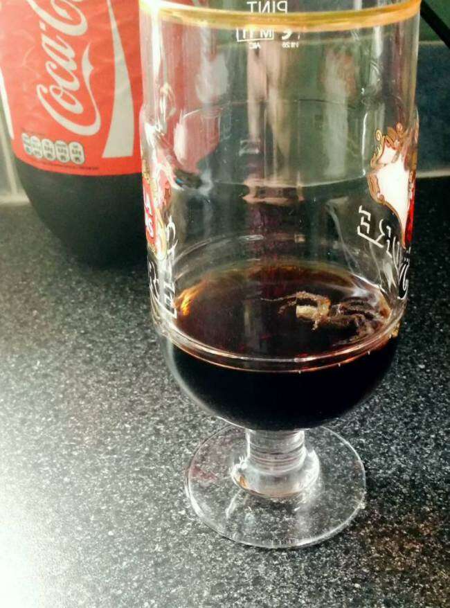 Casal encontra aranha de 5 centímetros dentro de Coca-Cola