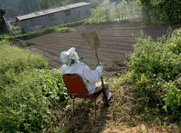 Scarecrows Illustrate Lives Of Japanese Countryside