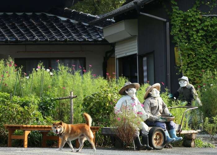 Scarecrows Illustrate Lives Of Japanese Countryside